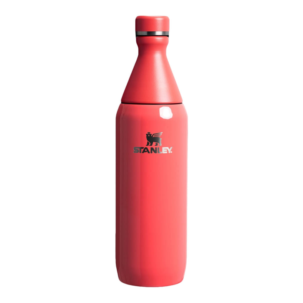 20OZ ALL DAY SLIM BOTTLE | 108-HOT CO