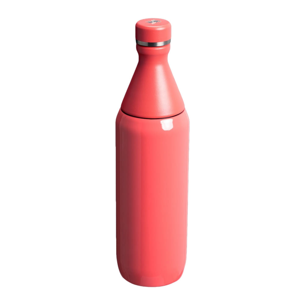 20OZ ALL DAY SLIM BOTTLE | 108-HOT CO