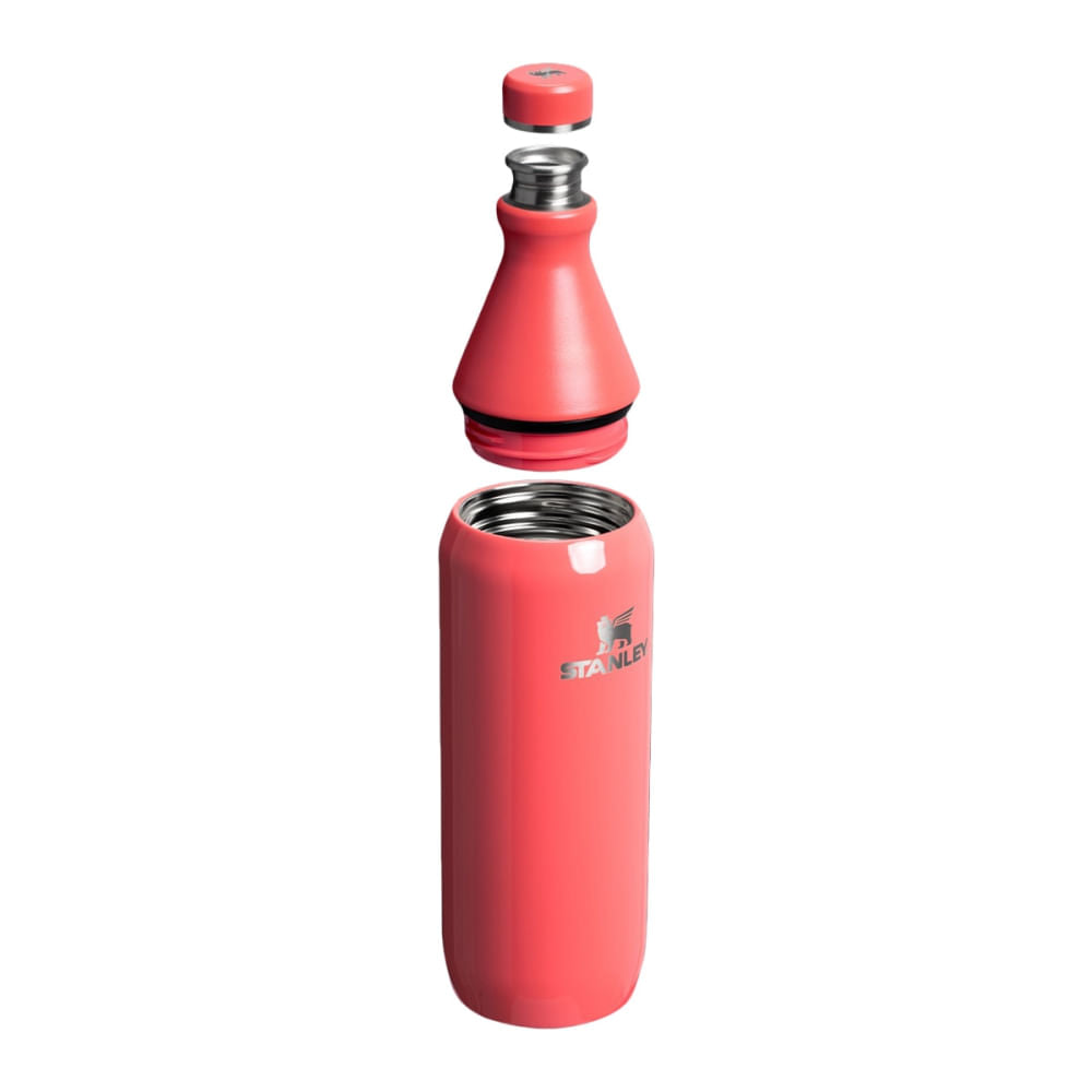 20OZ ALL DAY SLIM BOTTLE | 108-HOT CO