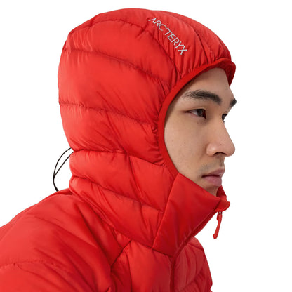 CERIUM HOODY M | DYNASTY