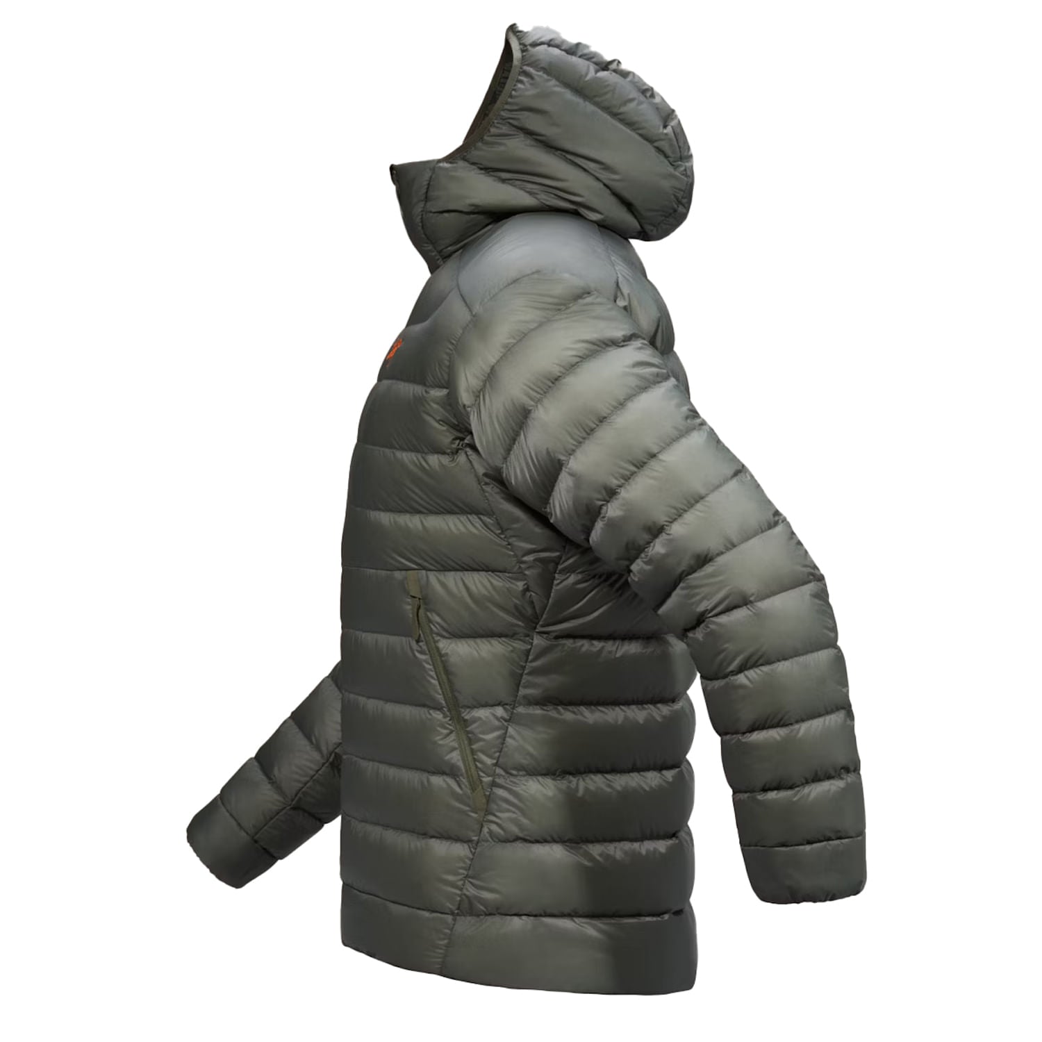 CERIUM HOODY M | FORAGE / V