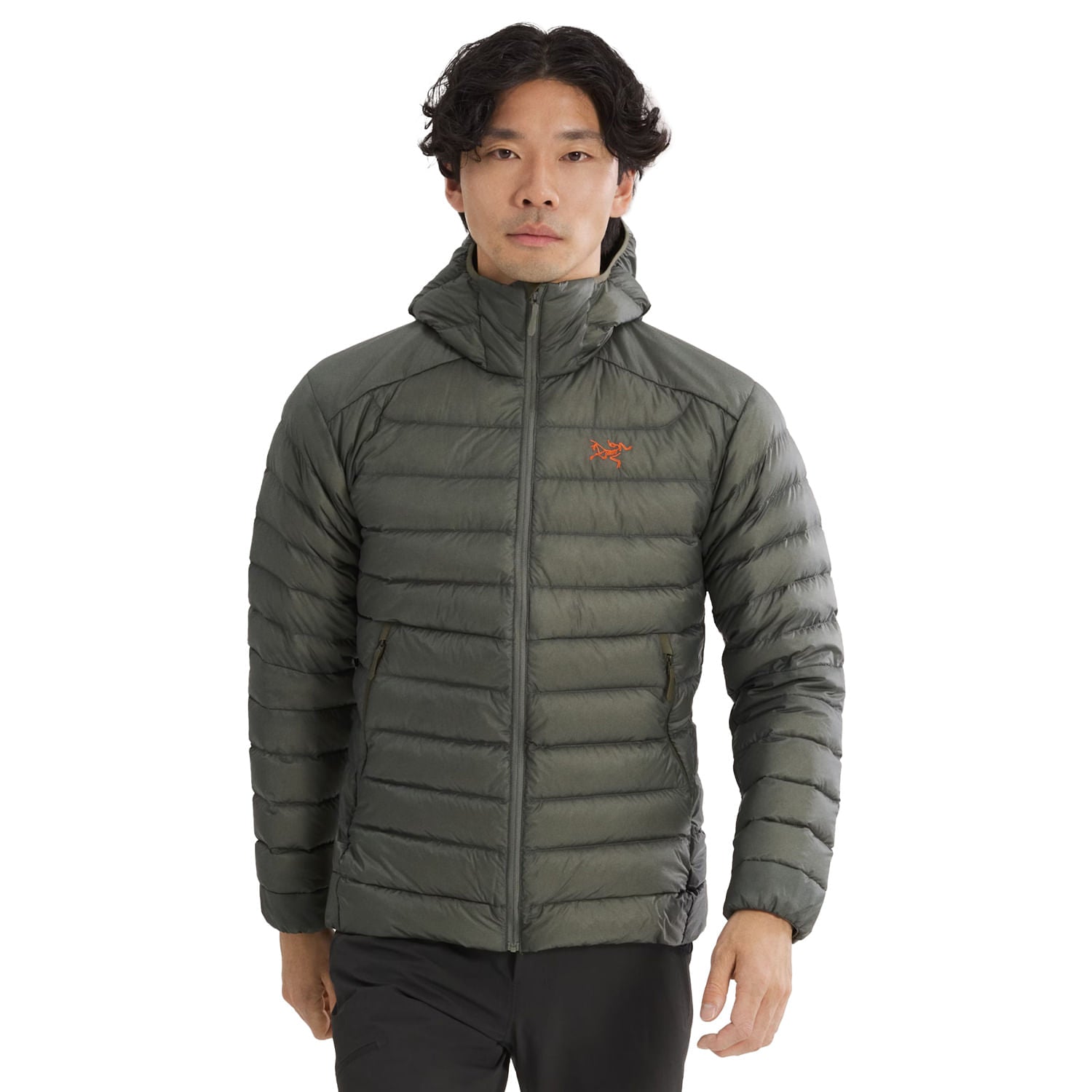 CERIUM HOODY M | FORAGE / V