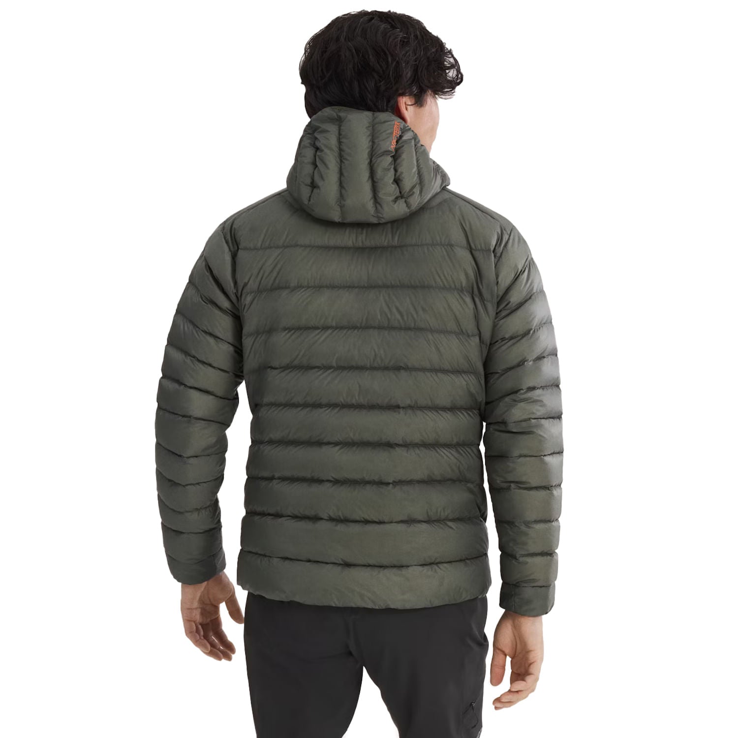 CERIUM HOODY M | FORAGE / V