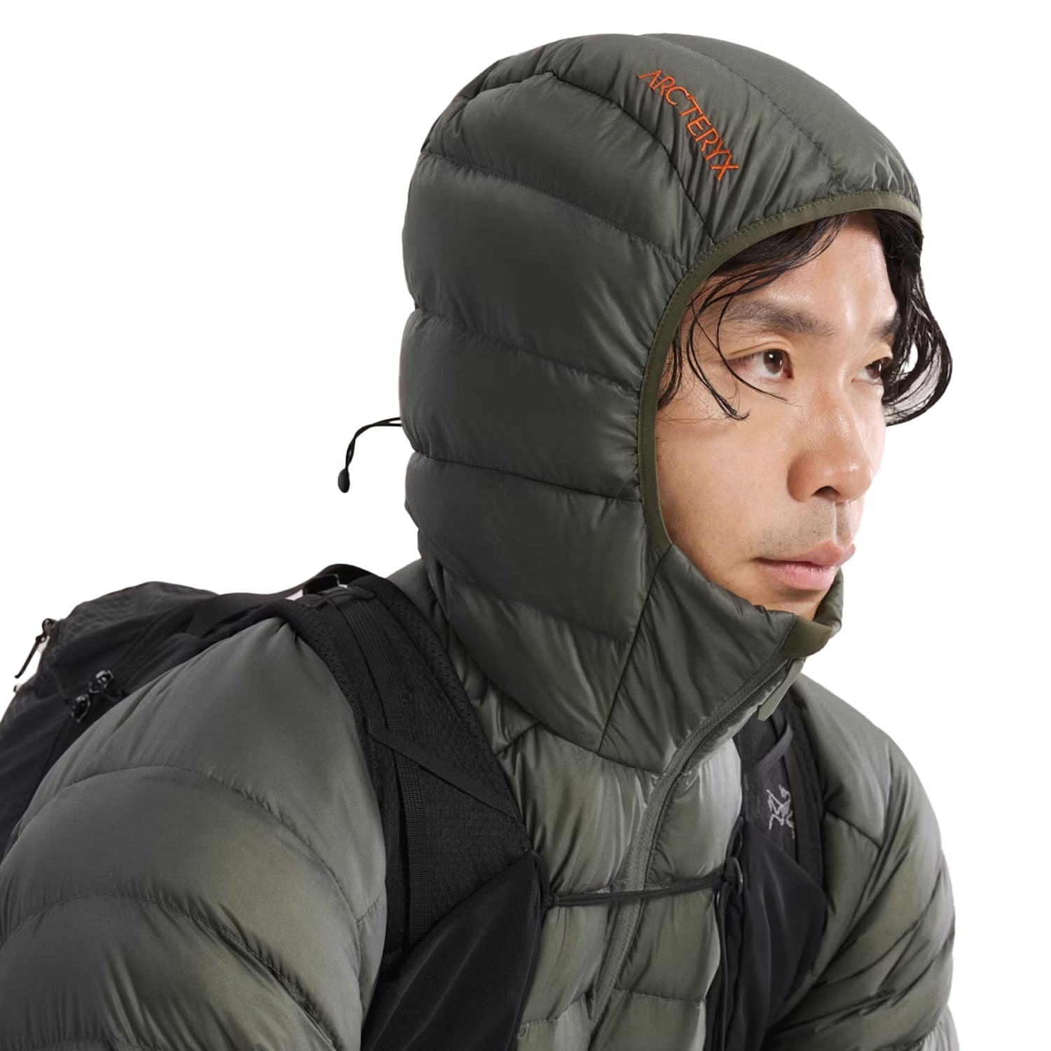 CERIUM HOODY M | FORAGE / V