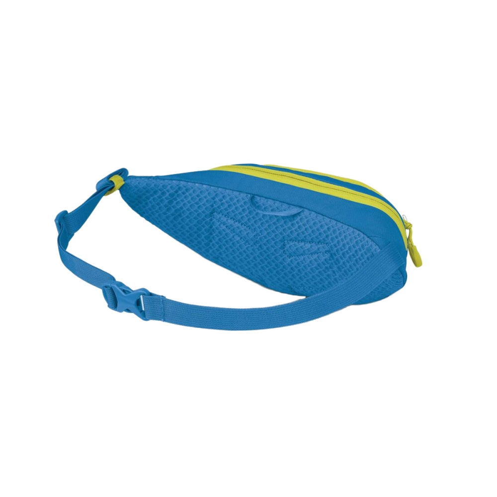 DAYLITE MINI WAIST PACK | BLUE FLAME