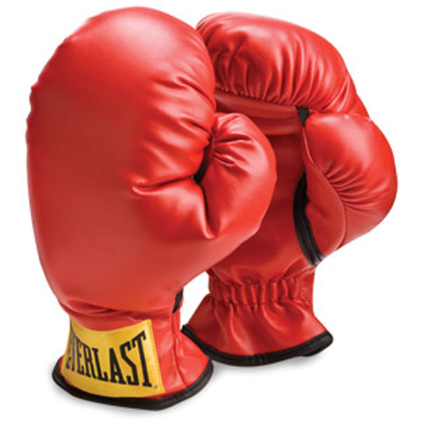 Y/BOXING GLOVES | GLOVES