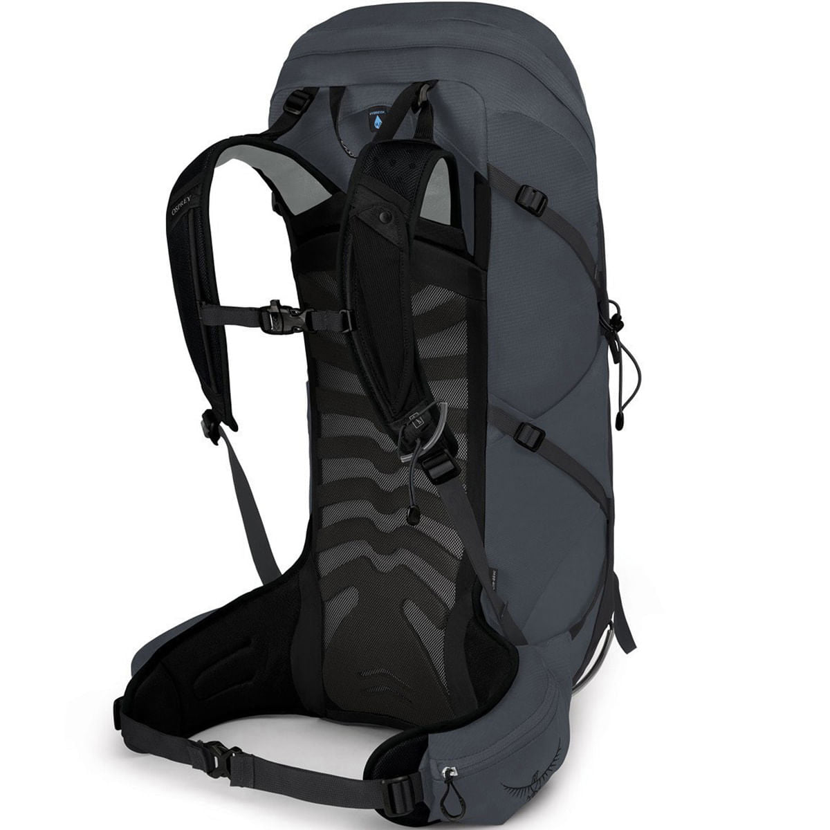 TALON 36 | ECLIPSE GR