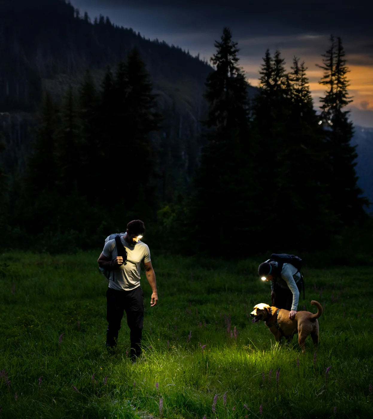 Two people with flashlights walking a dog in a forest at night photo by biolite
