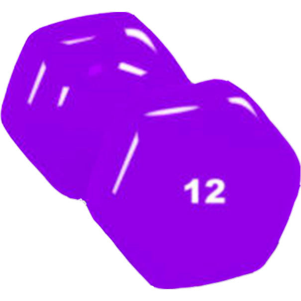 Troy Barbell 12 Lb Vinew york liberty Db Fitness Weights in Purple Color