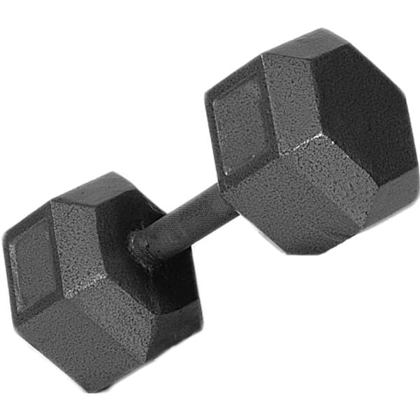 Troy Barbell 25Lb C/I Solid Db Fitness Weights in Grey Color