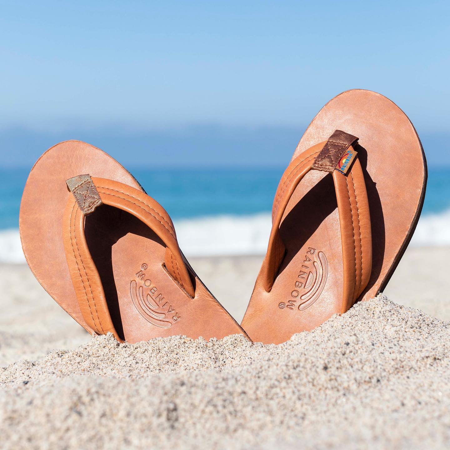 Shop Surf at NYC's Best Sports Specialty Store – Paragon Sports